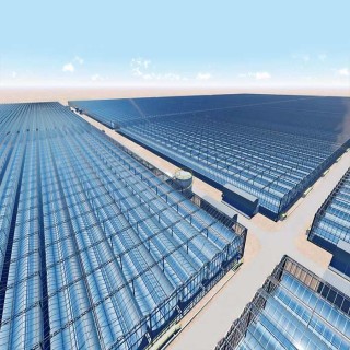 Hot Dip Galvanized Steel Solar Photovoltaic Power Generation For Greenhouse